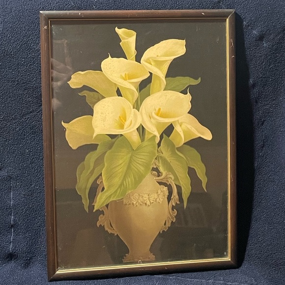 Rare 19th Cent. Print American Still Life of Calla Lilies in Greek Urn - Picture 1 of 5